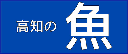 高知の水産物