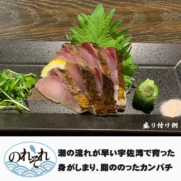 カンパチのわら焼きタタキと鰹のわら焼きタタキセット （薬味、自家製タレ付き） 冷蔵便 宇佐 勘八 かんぱち カンパチ 刺身 須崎市 のれそれ 高知 タタキ 宇佐湾 高知  鰹 カツオ かつお たたき父の日