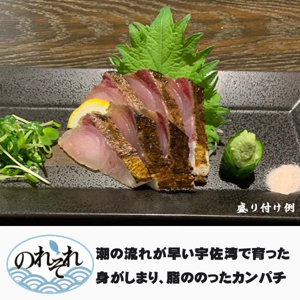 カンパチのわら焼きタタキセット 2節(薬味、自家製タレ付き)6~7人前/ 冷蔵便 宇佐 勘八 かんぱち カンパチ 刺身 須崎市 のれそれ 高知 タタキ 宇佐湾 高知 たたき 父の日 ギフト