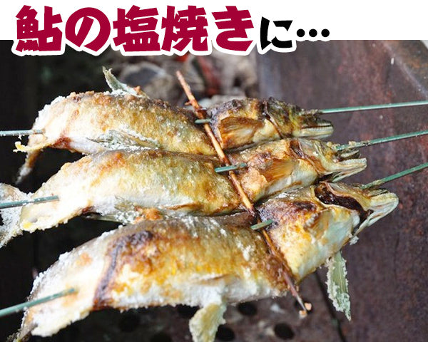 四万十川天然 鮎(冷凍)Mサイズ /1匹約90g~ 120g 個包装