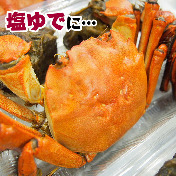 四万十川天然 ツガニ(冷凍)約500g(4~6匹)オス、メス混在/モクズガニ/つがに/カニ/かに/真空パック/個包装