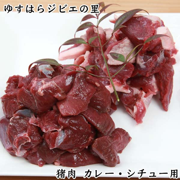 猪 端肉 カレー・シチュー用(約5cm角) ゆすはらジビエの里 冷凍便 高知県産 イノシシ ジビエカー GIBIER いのしし 国産