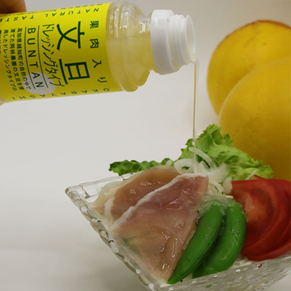 ぶんたん果肉入り文旦ドレッシング 3本セット 岡林農園 文旦 高知 柑橘類 調味料