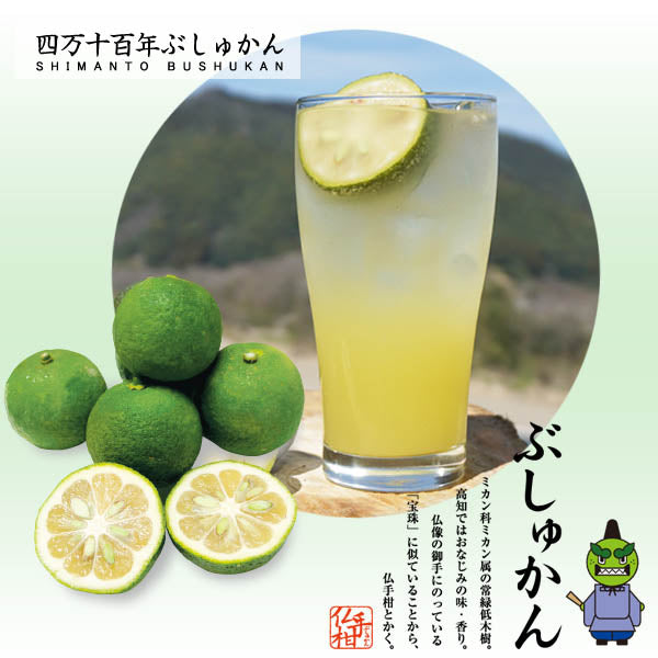 四万十ぶしゅかん 青玉2kg 高知県 仏手柑 しまんと 柑橘 ぶしゅまろ 土佐 ブシュカン Busyukan