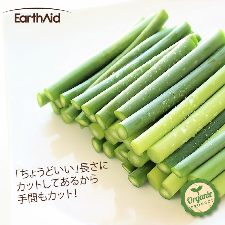 有機にんにくの芽&有機にんにくの芽(ツボミ)セット【アースエイド】(クール冷凍便)