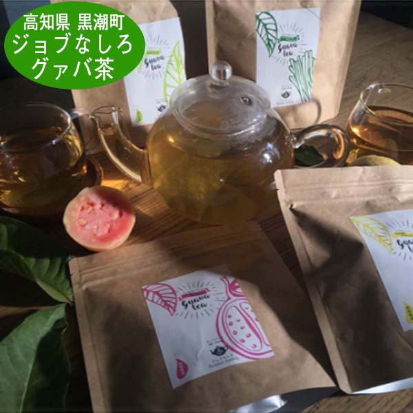 グァバ茶 ティーバッグタイプ ジョブなしろ 高知県黒潮町産グァバの葉使用 グァバの実 レモングラス 高知県産 生姜 柚子 グアバティー