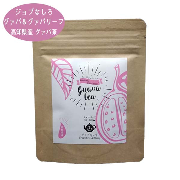 グァバ茶 ティーバッグタイプ ジョブなしろ 高知県黒潮町産グァバの葉使用 グァバの実 レモングラス 高知県産 生姜 柚子 グアバティー