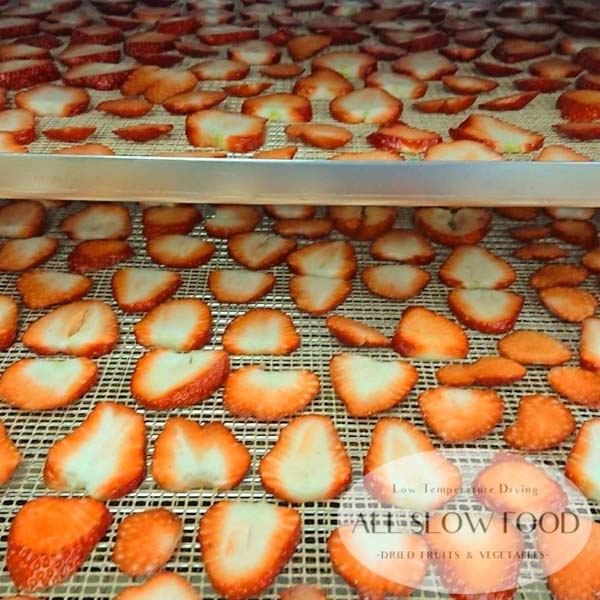 1日分の国産乾燥 果物ミックス 20g 5年保存 個包装 ドライフルーツ ALL SLOW FOOD 無添加 低温乾燥 高知県産 保存食品 防災 防災食 非常食 備蓄食 長期保存