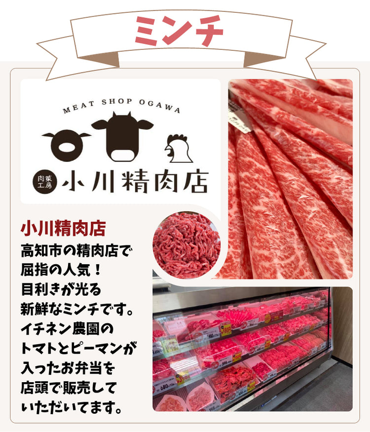 オール高知のキーマカレー(マイルド)1食180g×30個入 高知産ミニトマト ピーマン 牛ひき肉 イチネン高知日高村農園