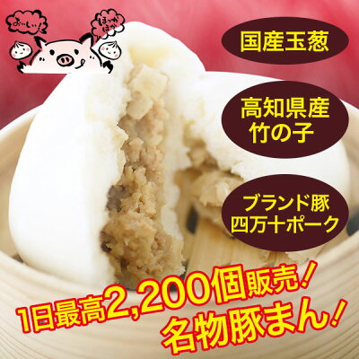 具だくさん豚まん3袋&ジャン麺まん2袋 セット 道の駅 あぐり窪川 満州軒 冷凍便 高知 四万十ポーク使用 ジャン麺 コラボ