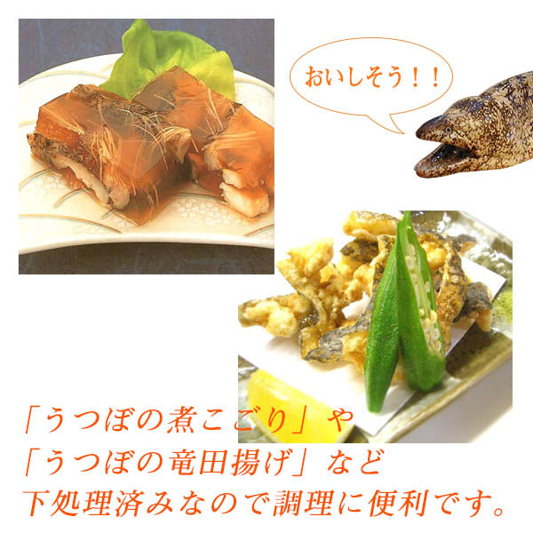 うつぼの切り身（骨なし）　300ｇ／冷凍便／時短／簡単調理／ウツボ／珍味／酒の肴／父の日／おつまみ／高知／居酒屋メニュー／