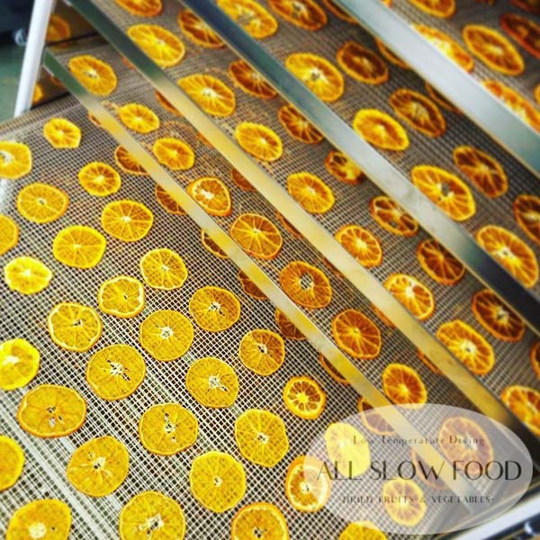 1日分の国産乾燥 果物ミックス 20g 5年保存 個包装 ドライフルーツ ALL SLOW FOOD 無添加 低温乾燥 高知県産 保存食品 防災 防災食 非常食 備蓄食 長期保存