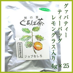 グァバティー　ティーバッグ　100ｇ（高知県黒潮町産）ジョブなしろ グアバ