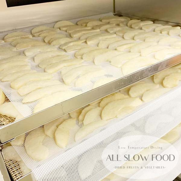 1日分の国産乾燥 果物ミックス 20g 5年保存 個包装 ドライフルーツ ALL SLOW FOOD 無添加 低温乾燥 高知県産 保存食品 防災 防災食 非常食 備蓄食 長期保存
