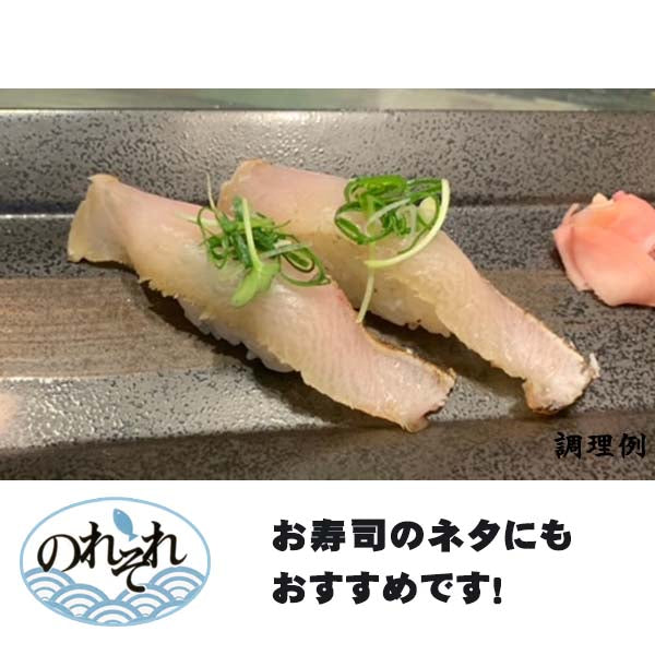 カンパチのわら焼きタタキセット 2節(薬味、自家製タレ付き)6~7人前/ 冷蔵便 宇佐 勘八 かんぱち カンパチ 刺身 須崎市 のれそれ 高知 タタキ 宇佐湾 高知 たたき 父の日 ギフト