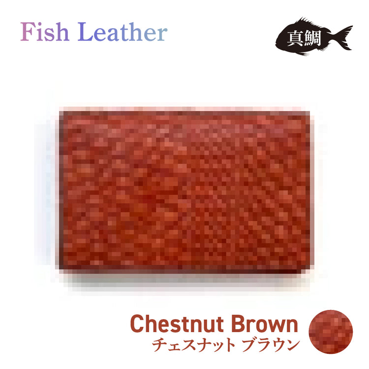 名刺入れ フィッシュレザー マダイ Lサイズ オーシャンレザー 魚の皮 革財布 fish leather 真鯛 釣り好きの人 ギフト