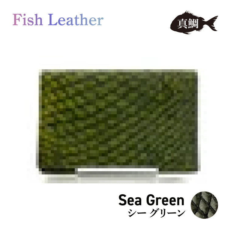 名刺入れ フィッシュレザー マダイ Lサイズ オーシャンレザー 魚の皮 革財布 fish leather 真鯛 釣り好きの人 ギフト