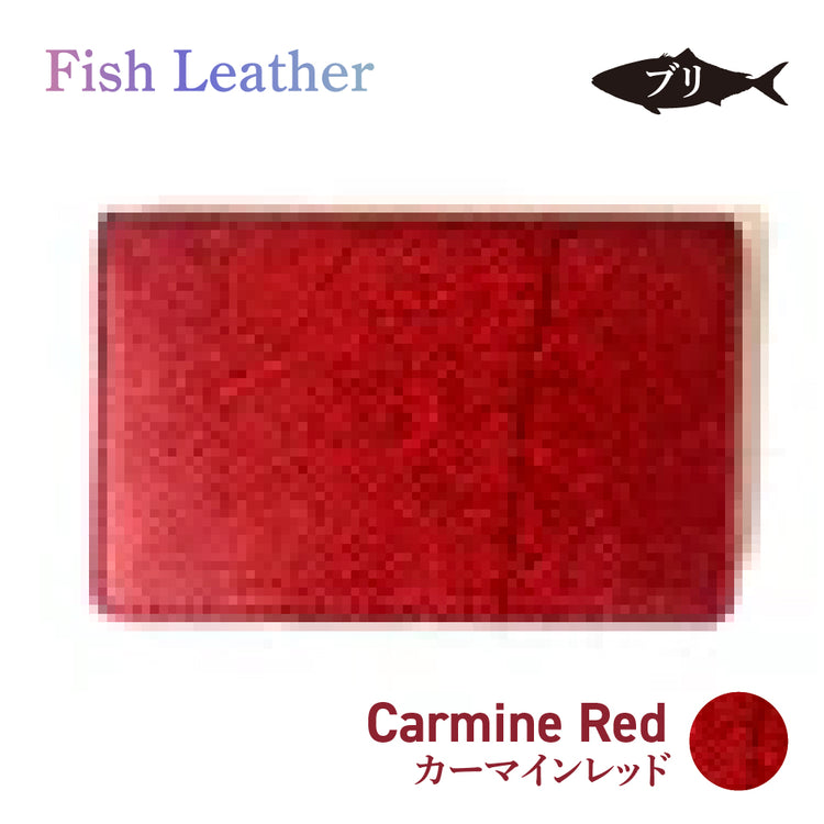 名刺入れ フィッシュレザー ブリ Mサイズ オーシャンレザー 魚の皮 fish leather 鰤(ぶり) 釣り好きの人 ギフト