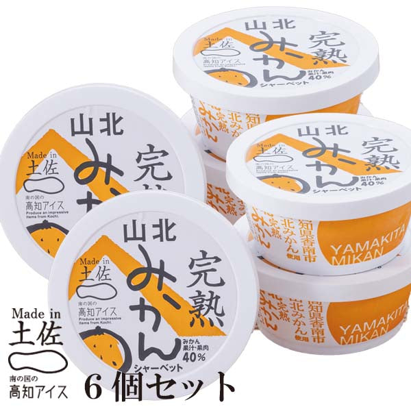 Made in土佐 完熟 山北みかん シャーベット6個 高知アイス ミカン 完熟みかん