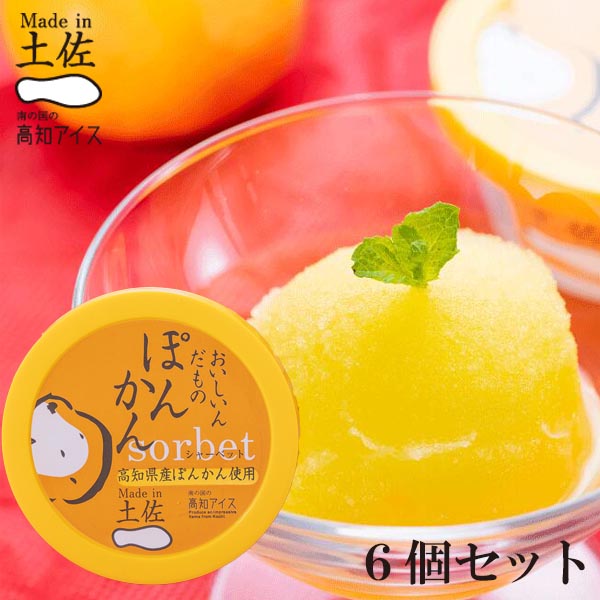 Made in土佐 ぽんかんシャーベット6個 高知アイス ポンカン おいしんだもの