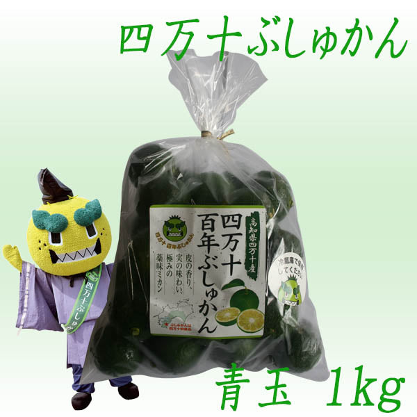 四万十ぶしゅかん 青玉1kg 高知県 仏手柑 しまんと 柑橘 ぶしゅまろ 土佐 ブシュカン Busyukan