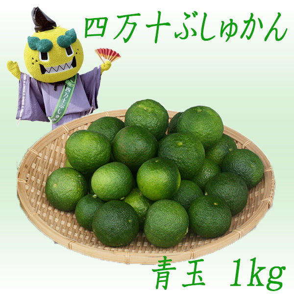 四万十ぶしゅかん 青玉1kg 高知県 仏手柑 しまんと 柑橘 ぶしゅまろ 土佐 ブシュカン Busyukan
