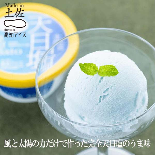 Made in土佐 天日塩ジェラート6個 高知アイス 塩アイス カップアイス