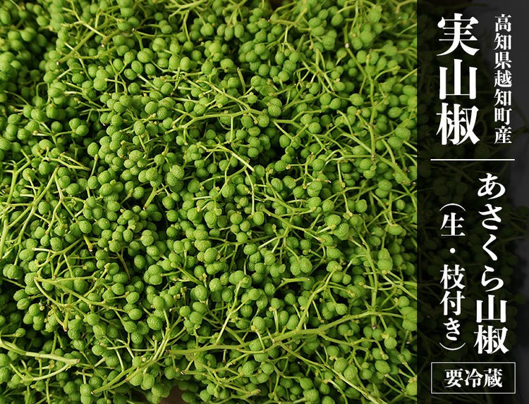 高知県産 実山椒 あさくら山椒 生 枝付き 500g【産直商品】