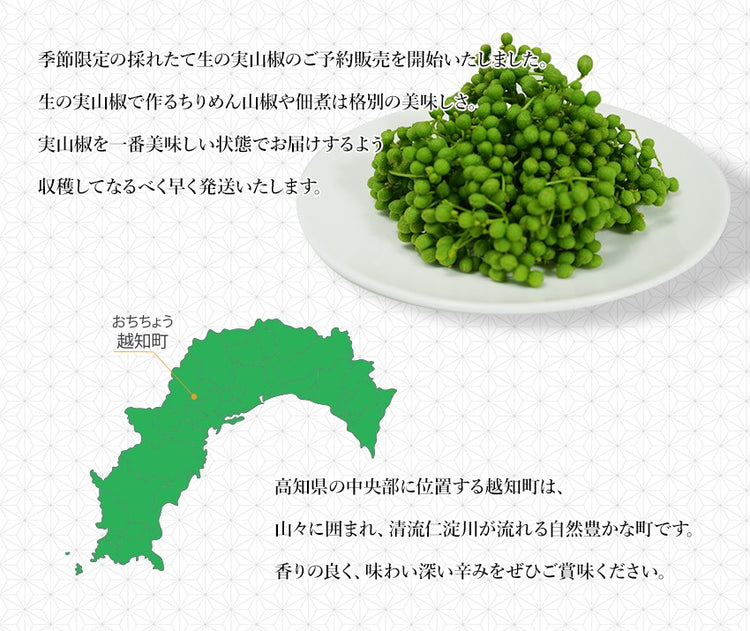 高知県産 実山椒 あさくら山椒 生 枝付き 500g【産直商品】