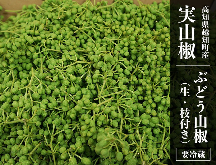 高知県産 実山椒 ぶどう山椒 生 枝付き 500g【産直商品】