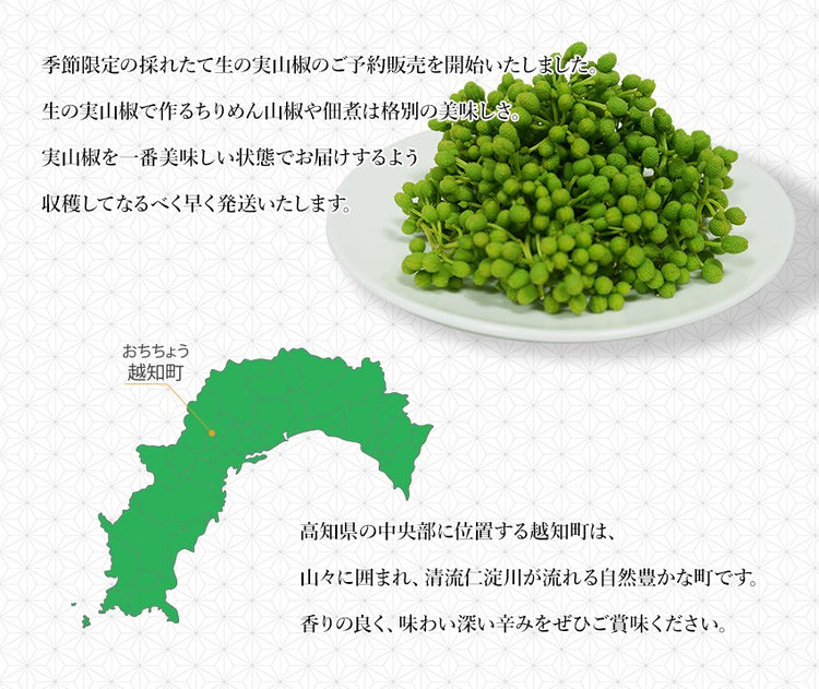 高知県産 実山椒 ぶどう山椒 生 枝付き 500g【産直商品】