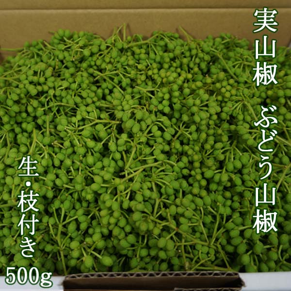 高知県産 実山椒 ぶどう山椒 生 枝付き 500g【産直商品】