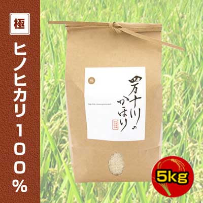 2025年産 令和7年産 新米 極みシリーズ ヒノヒカリ100% 5kg