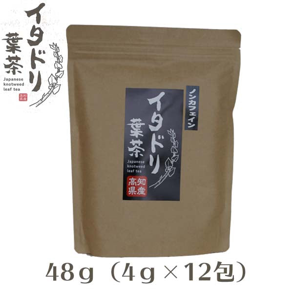 イタドリ葉茶　48ｇ（4ｇ×12包）／ティーバッグ／お茶／いたどり