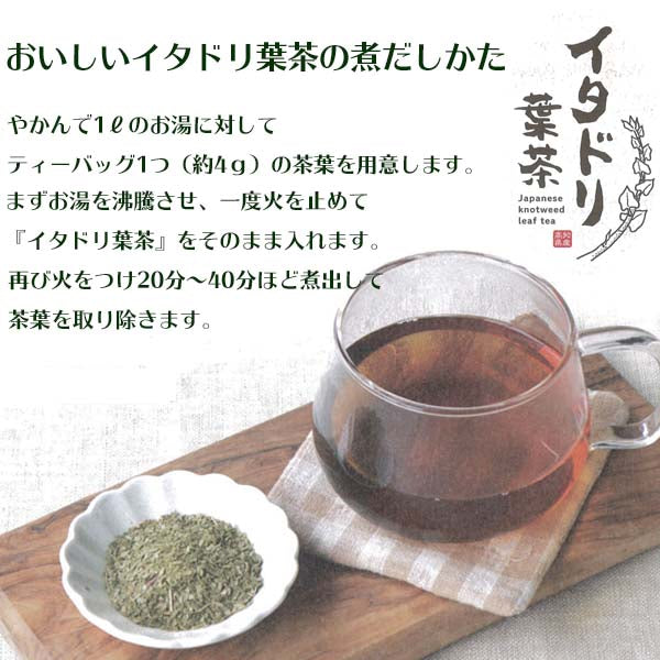 イタドリ葉茶 48g(4g×12包)/ティーバッグ/お茶/いたどり