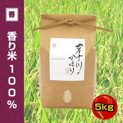 2025年産 令和7年産 新米 香り米(神の香~カミノカ~)100% 5kg