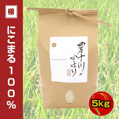 2025年産 令和7年産 新米 極みシリーズ にこまる100% 5kg