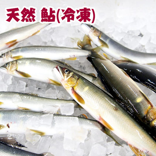 四万十川天然　鮎（冷凍）Sサイズ ／1匹約70g～90g 個包装