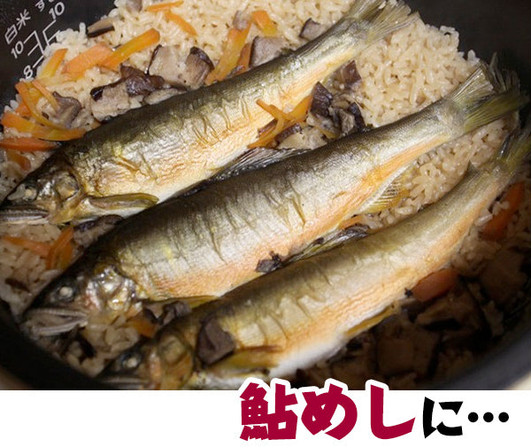 四万十川天然　鮎（冷凍）Mサイズ ／1匹約90g～ 120g 個包装