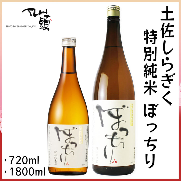 仙頭　土佐しらぎく 特別純米 ぼっちり  1本 化粧箱なし 仙頭酒造