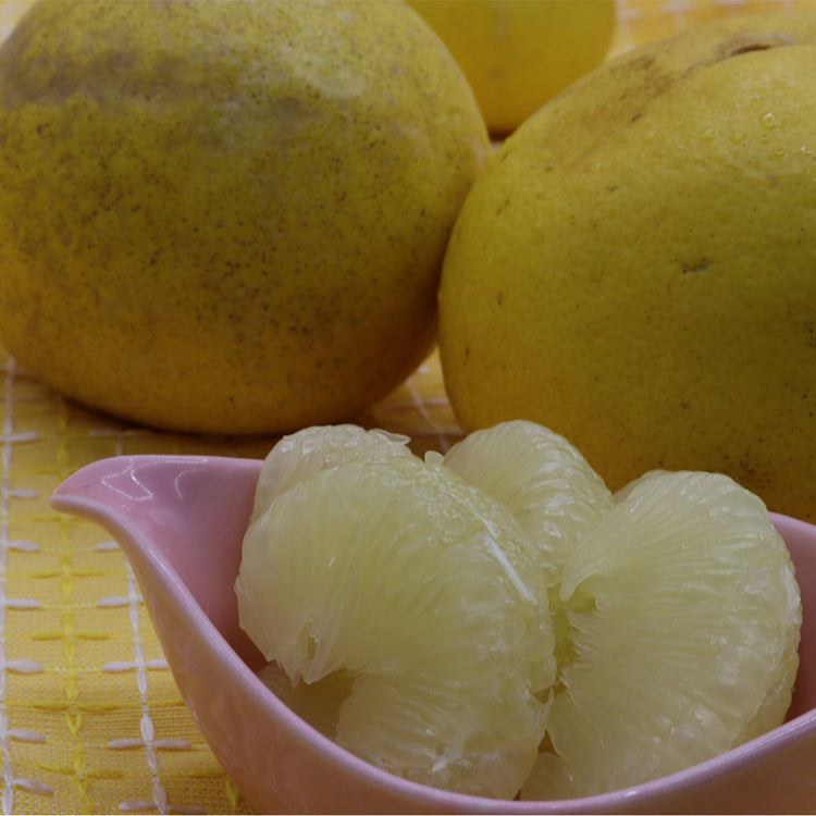 訳あり土佐文旦　１０ｋｇ　ご家庭用　送料無料　サイズばらばら　傷あり