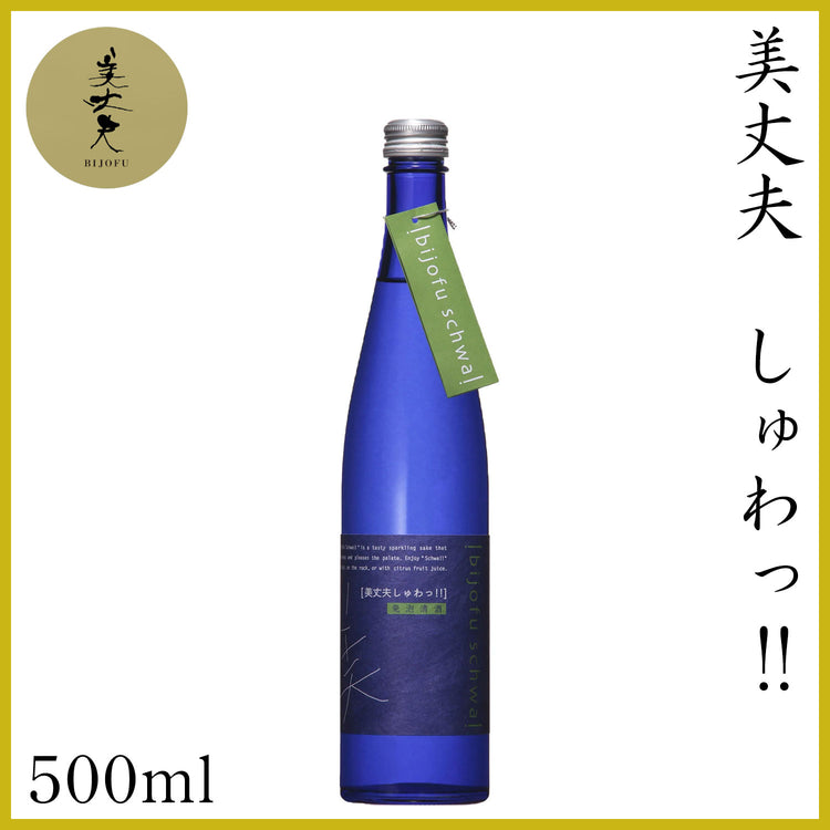 濱川　美丈夫 しゅわっ!!  500ml 1本 化粧箱なし 発泡性清酒 濱川商店