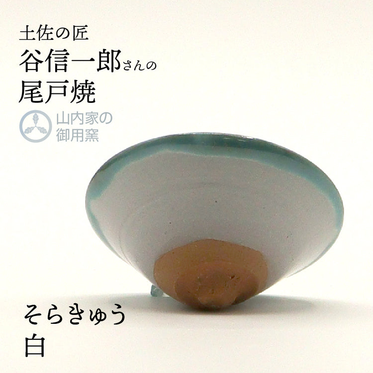 尾戸焼 谷製陶所のべく杯 酒器 おちょこ ぐい飲み おきゃくグッズ 土佐の匠 可杯・可盃 べくはい