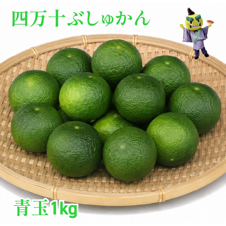 四万十ぶしゅかん 青玉1ｋｇ 高知県 仏手柑 しまんと 柑橘 ぶしゅまろ 土佐 ブシュカン Busyukan