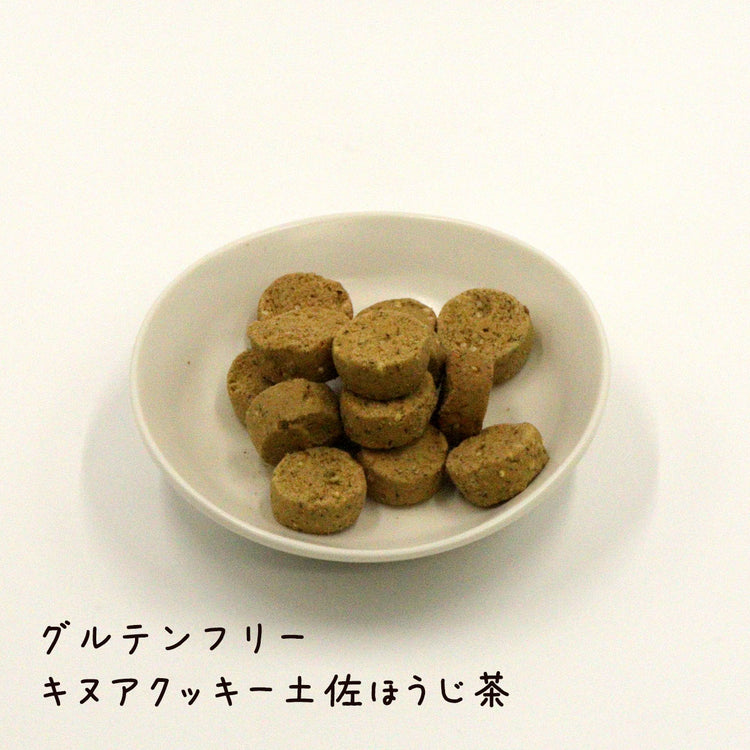 グルテンフリーキヌアクッキー（袋） プレーン チョコ 土佐ほうじ茶 みそ 米粉クッキー 高知