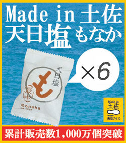 高知アイス Made in 土佐 天日塩もなか 6個セット モナカ 最中アイス てんぴえん 塩アイス