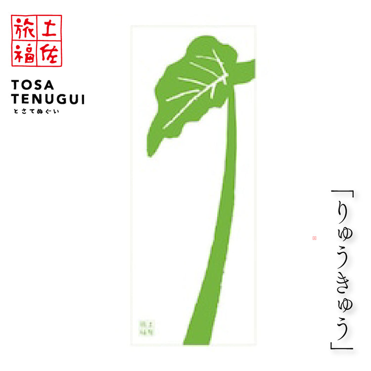 土佐旅福 土佐手拭い・単色白地手拭い「りゅうきゅう」/木綿本手拭 約90cm×35cm　日本の染色法「注染（ちゅうせん・そそぎぞめ）」株式会社わらびの