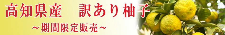 森徳蔵.com