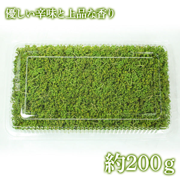 高知県産 花山椒 200ｇ 山椒の花 – 森徳蔵.com