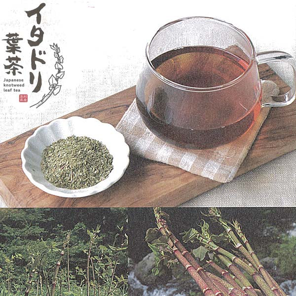 イタドリ葉茶　48ｇ（4ｇ×12包）／ティーバッグ／お茶／いたどり